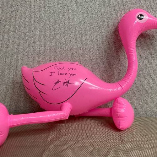 Image of Bonnaroo Auction Item: Blow Up Flamingo Signed by Marc Rebillet