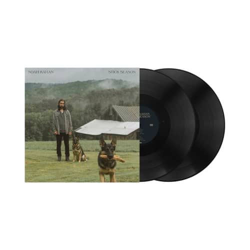 Image of Signed 'Stick Season' Vinyl