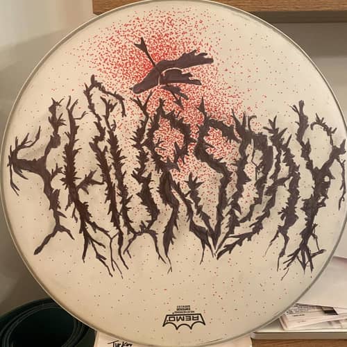 Image of Get this Signed Drumhead Piece of Art from Thursday!