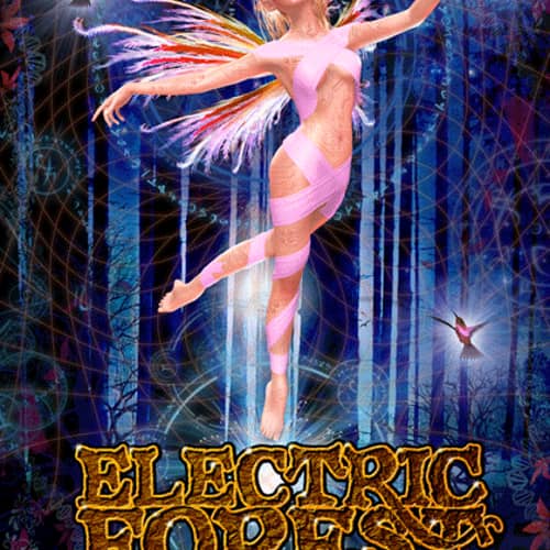 Image of Conscious Alliance 'Electric Forest - 2011' Poster