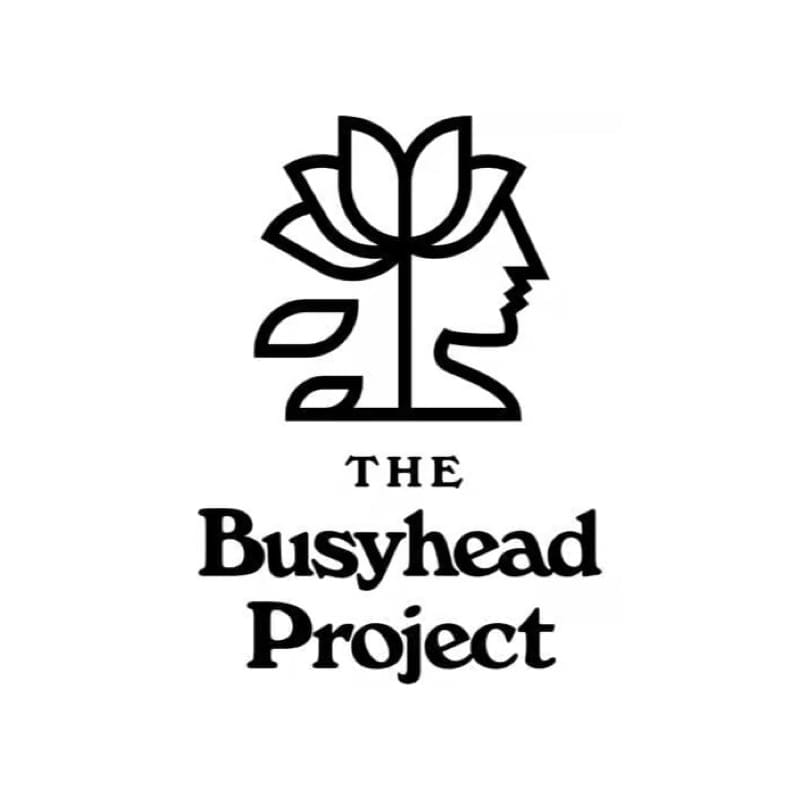 Image of The Busyhead Project