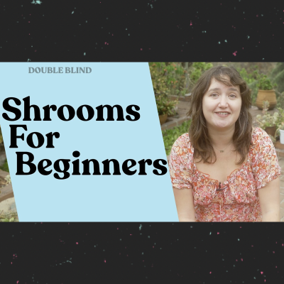 How to Dry Shrooms - DoubleBlind Mag