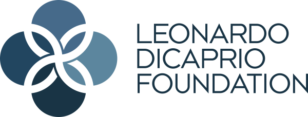 Leonardo dicaprio foundation что это